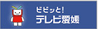 テレビ愛媛