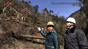 新日本建設