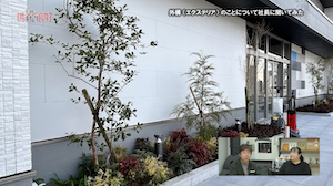 楽花”樹庭